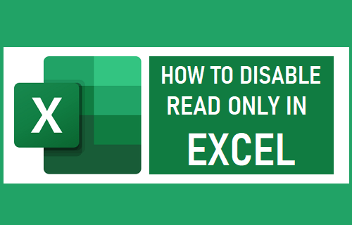 Disable Read Only in Excel